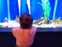 -蟹之国·精品蟹料理(极地店)