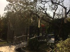 -卫鼎轩·曹公馆(鼓楼店)