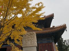 -挂甲禅寺