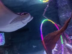 -沈阳海洋探索中心