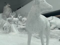 -中国湿地博物馆