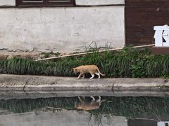 -乌村
