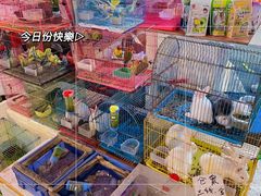 -清平路水族市场