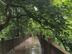 -张坝桂圆林公园