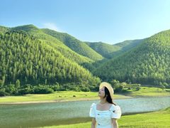 -乡村馕坑肉·烧烤·新疆菜·本地人更爱吃(阿勒泰首店)