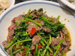 香菜炒牛肉-壹盏灯(惠农店)