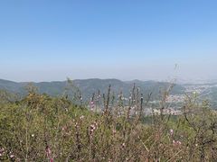 -北京西山国家森林公园