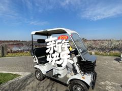 -上海海湾国家森林公园