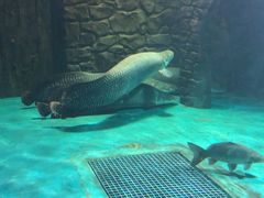 -威海华夏城景区