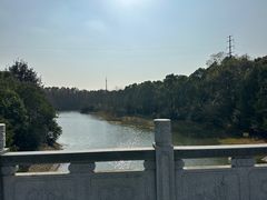 -上海海湾国家森林公园