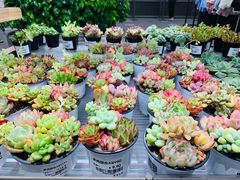 -鹿岛生活(熙地港店)