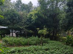 -故乡缘·香格里拉山庄(冷竹路店)