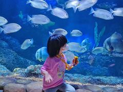 -华夏文旅海洋公园