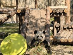 -上海野生动物园