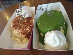 -狐狸和向日葵(北京路店)