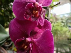 -石家庄市植物园