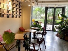 -Dinoo 片场咖啡(酒仙桥店)