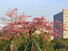 -东莞植物园