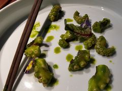 -CHIC1699远洋私厨