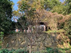 -紫金山山顶公园