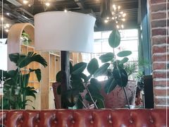 -桉树林A coffee 森林餐厅(三圣乡店)