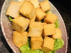 -苏州金科大酒店