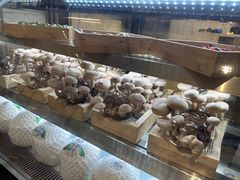 -椰子营·椰子鸡火锅(万象里店)