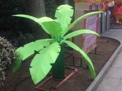 -南宫五洲植物乐园