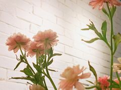 -Dal Cuore 达可芮冰淇淋(陕西北路店)