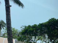 -雾山韩式烤肉·海南糟粕&椰子鸡火锅·海景餐厅(三亚绿发山海天JW万豪酒店)