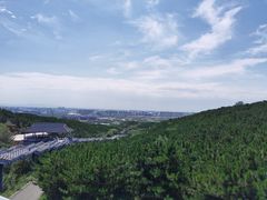 -大青山野生动物园