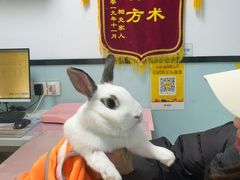 -嘉馨宠物医院·CT影像转诊·心脏科·犬猫全科诊疗中心(下沙大学城院区)