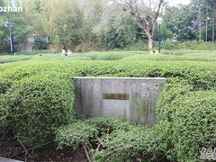 -九龙公园