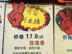 -马陆小张葡萄园农家乐