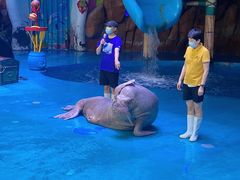 -烟台海昌鲸鲨海洋公园