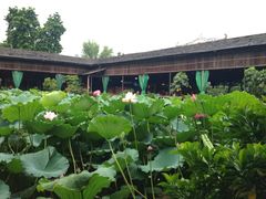 荷花-荷香居(洞企石路店)