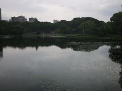 -蠡湖大桥公园