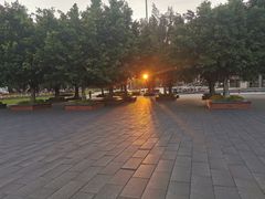 -苏颂公园