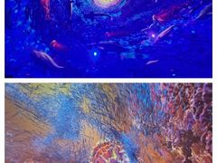 -海合安武汉极地海洋公园