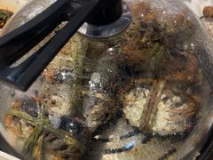 -半岛听涛蒸汽海鲜自助(K11店)