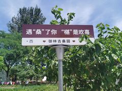 -御林古桑园