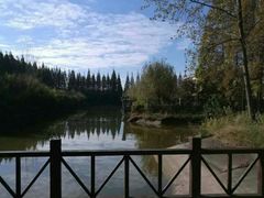 -黄海国家森林公园