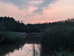 -大望京公园