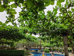 -三亚亚龙湾天域度假酒店