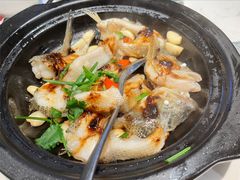 古法生焗鲜鲈鱼-常来小聚·广州非遗传承餐厅(高德置地店)