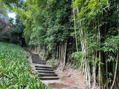 -昆明市金殿名胜区