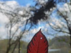 -观山湖公园