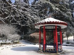 -庐山风景区花径公园