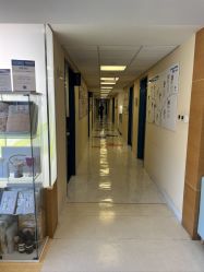 -杭州贝瑞斯美华妇儿医院·早孕·产检·儿科