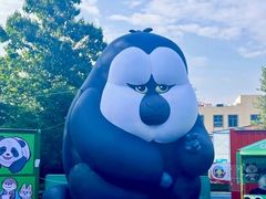 -石家庄市动物园